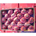 /msite/products/detail/productid/54855578/id/542998.html